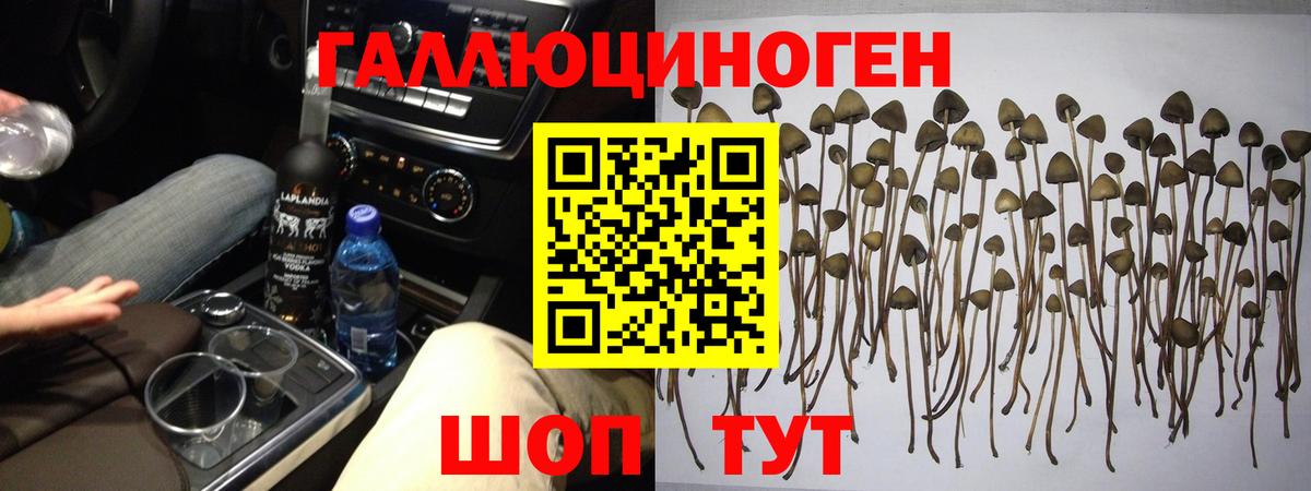 Псилоцибиновые грибы ЛСД  Вход с VPN  Усть-Джегута 