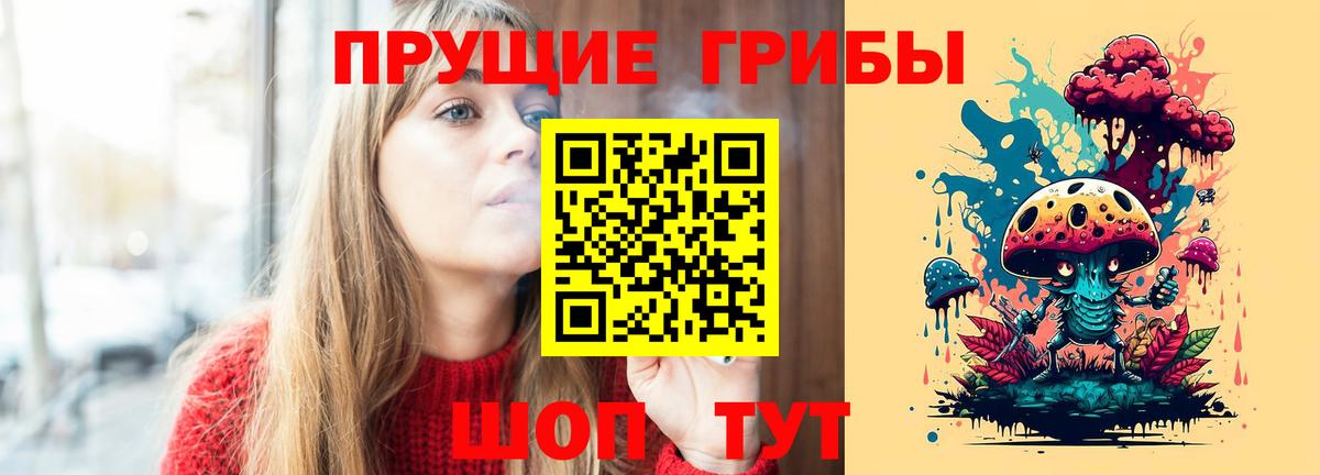 Галлюциногенные грибы Psilocybine cubensis Усть-Джегута